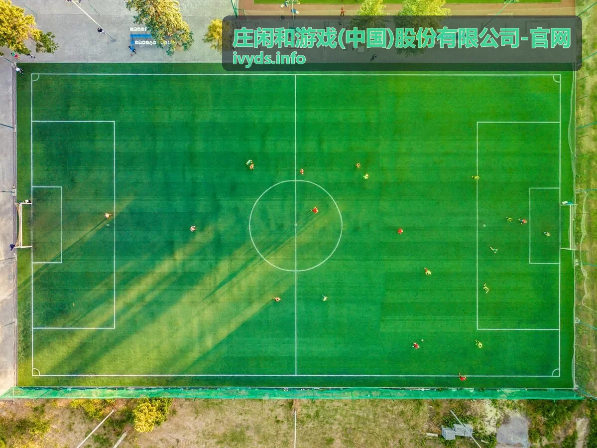 庄闲和游戏官网策略玩法指南专题封面